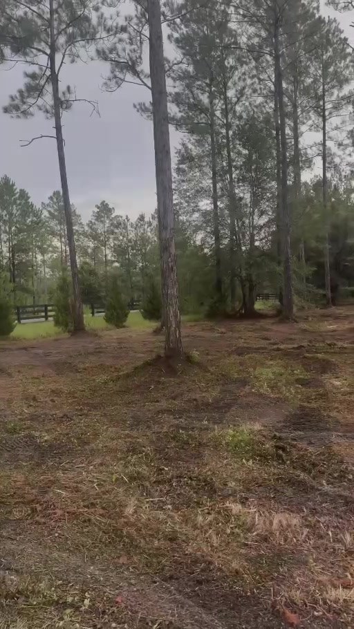 Forestry mulching finished property near Hilliard service area
