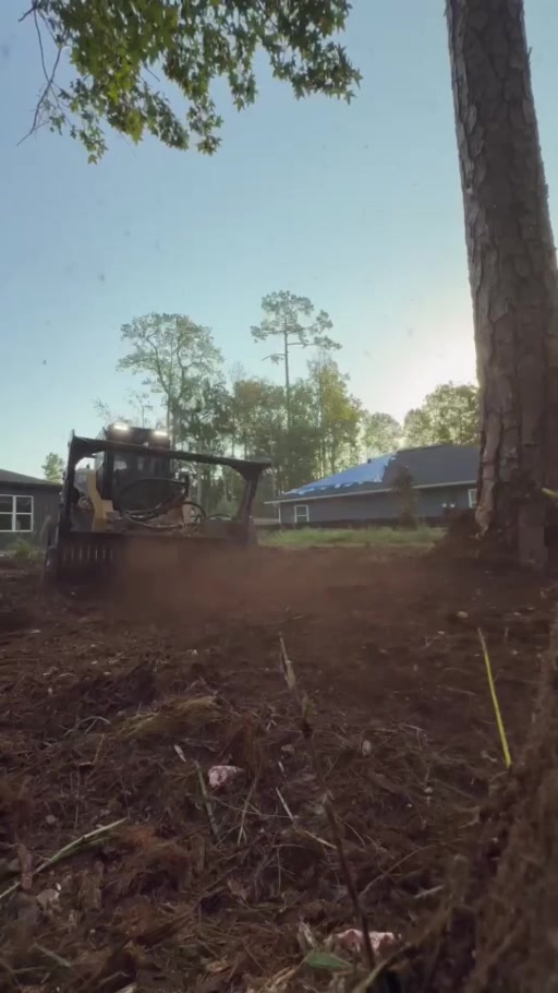 Brush Busters forestry mulching job in Northeast Florida